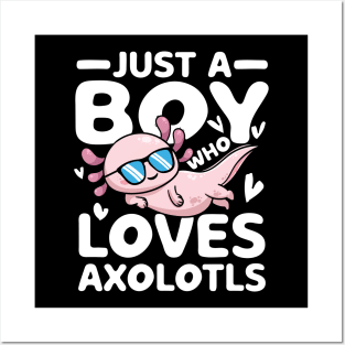 Just a Boy Who Loves Axolotls Posters and Art